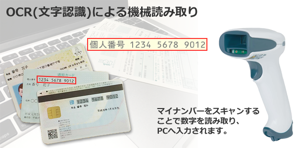 xenon1900マイナンバー
